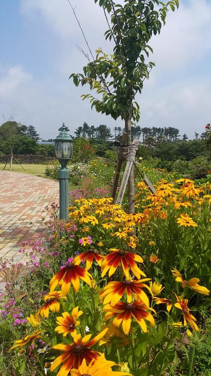Baghdad House Vila Jeju Exterior foto