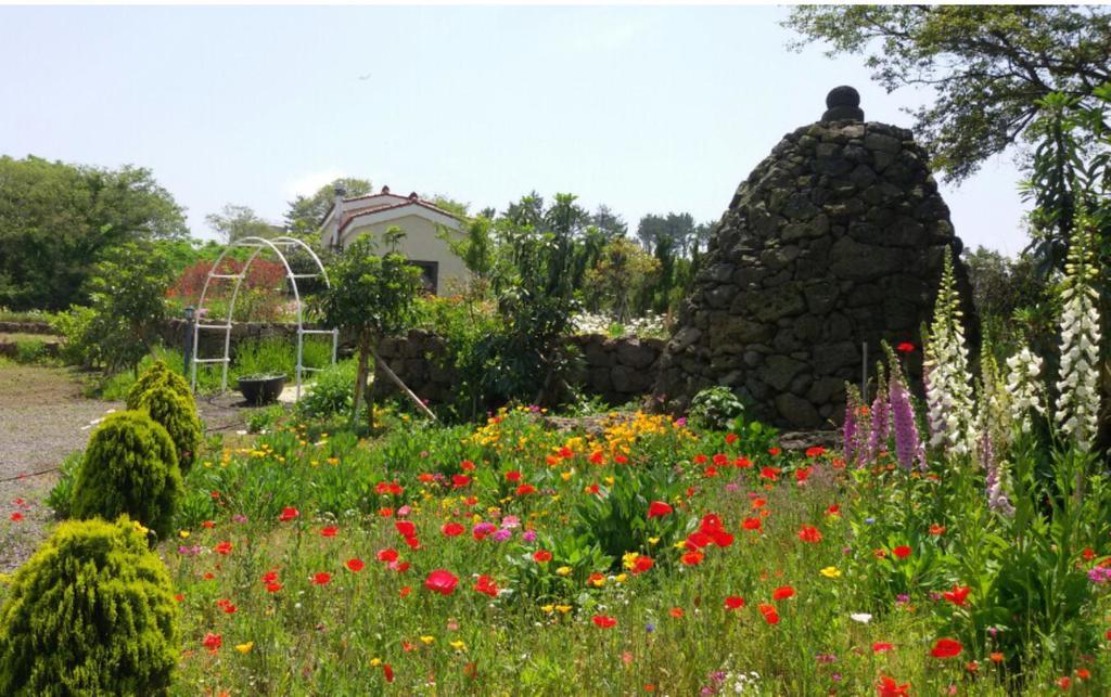 Baghdad House Vila Jeju Exterior foto