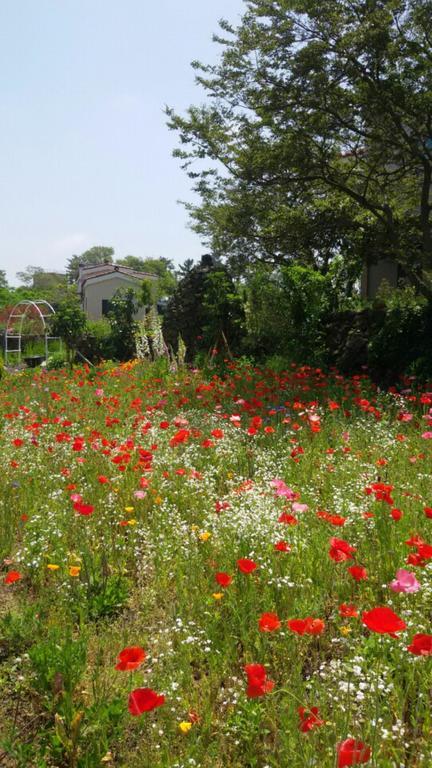 Baghdad House Vila Jeju Exterior foto