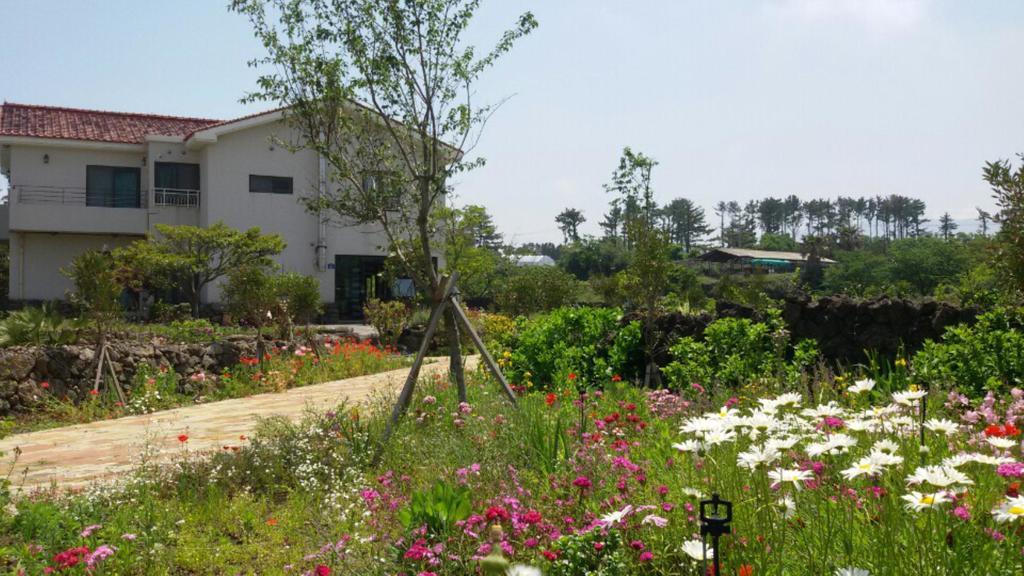 Baghdad House Vila Jeju Exterior foto