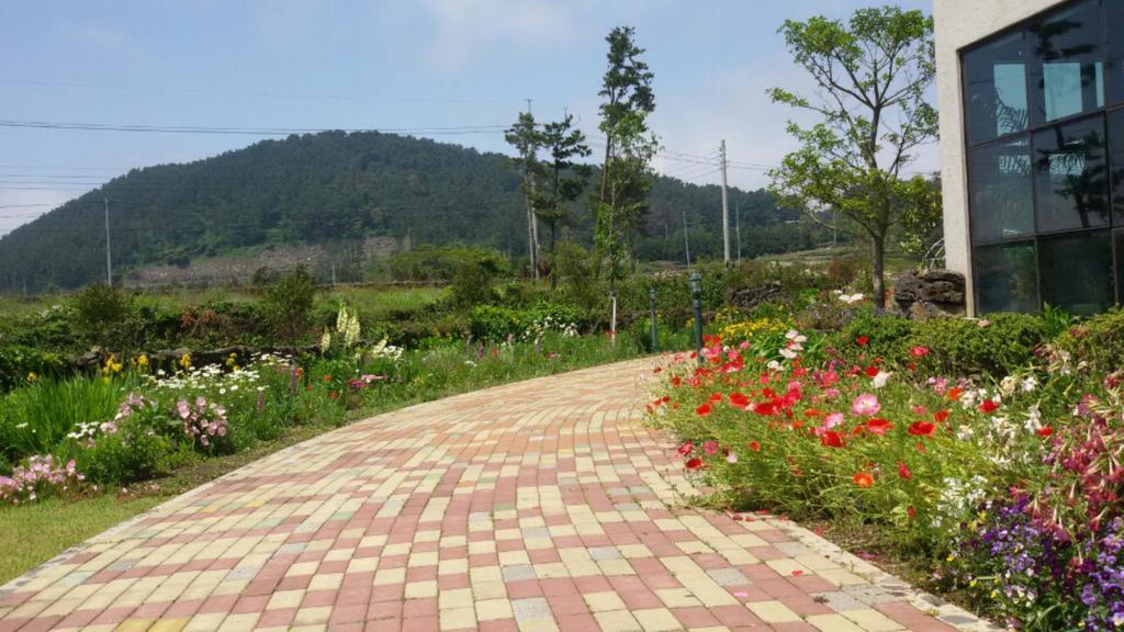 Baghdad House Vila Jeju Exterior foto