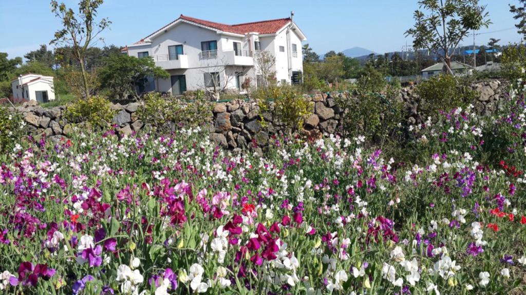 Baghdad House Vila Jeju Exterior foto