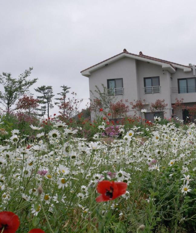 Baghdad House Vila Jeju Exterior foto