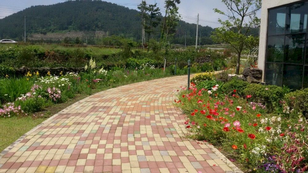 Baghdad House Vila Jeju Exterior foto