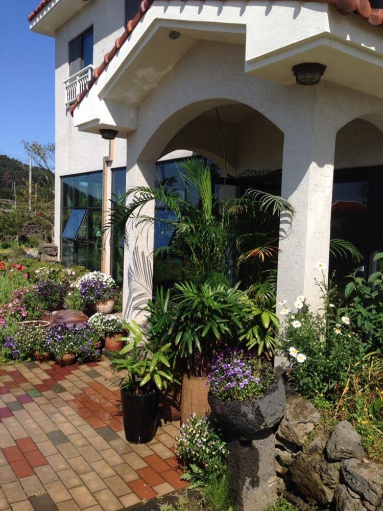Baghdad House Vila Jeju Exterior foto